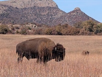 Preserve is very close to the home :)