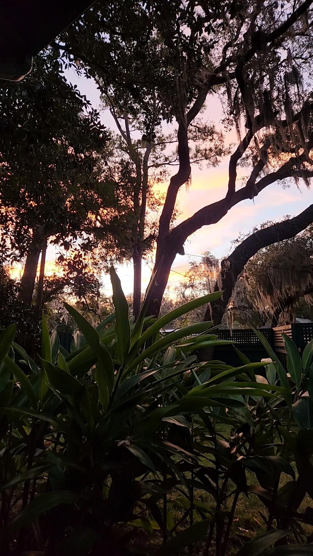 Sunrise from the porch.