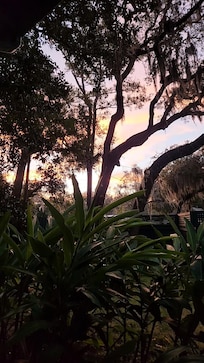 Sunrise from the porch.