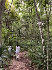 Monkey trail