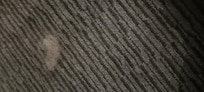 Clumps of hair under the dressing table it was there for 4 days not hoovered
Stains on the wall bathroom not cleaned