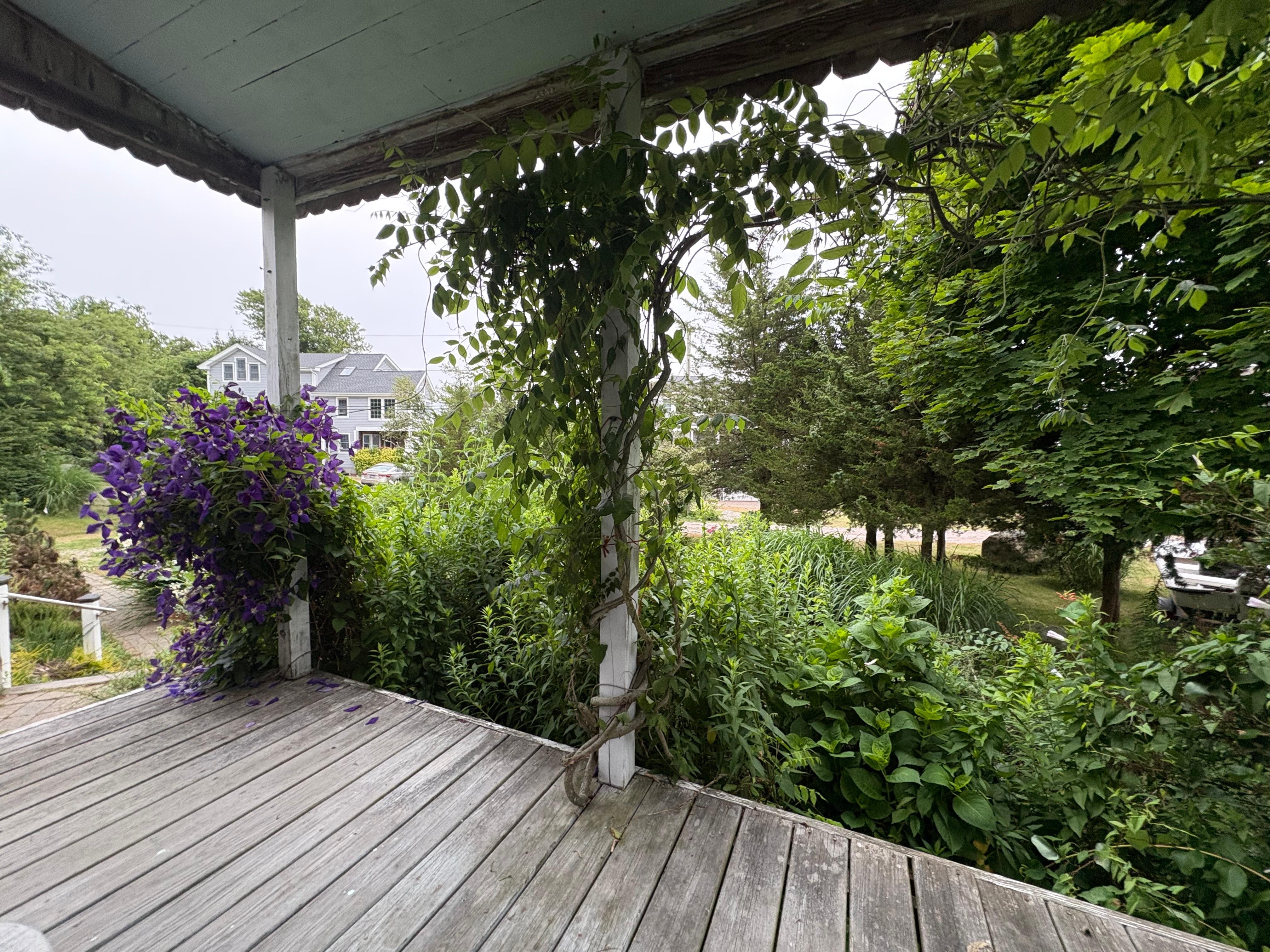 View from cottage porch 