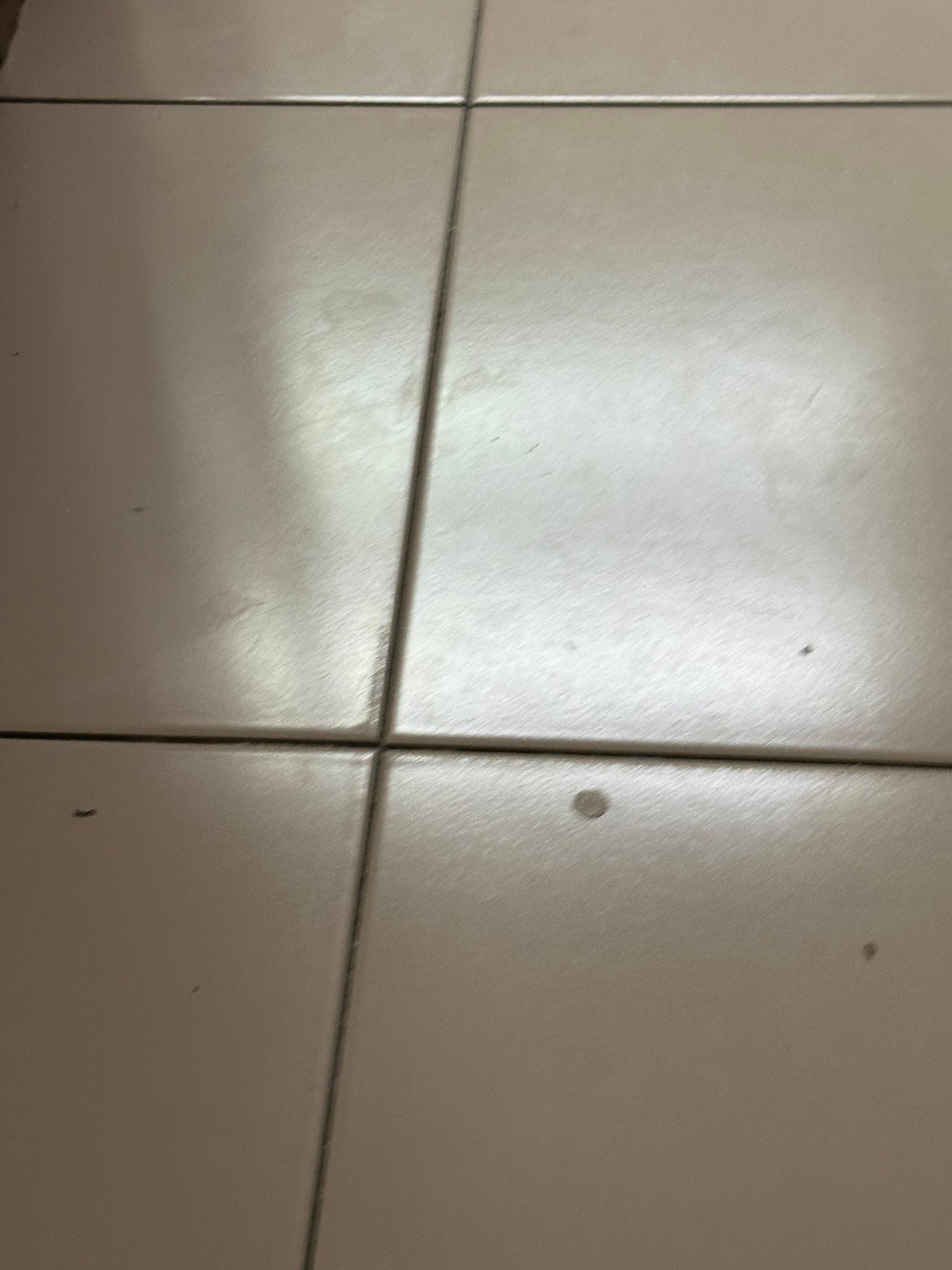 Piso con líquidos raros, pipí o sangre