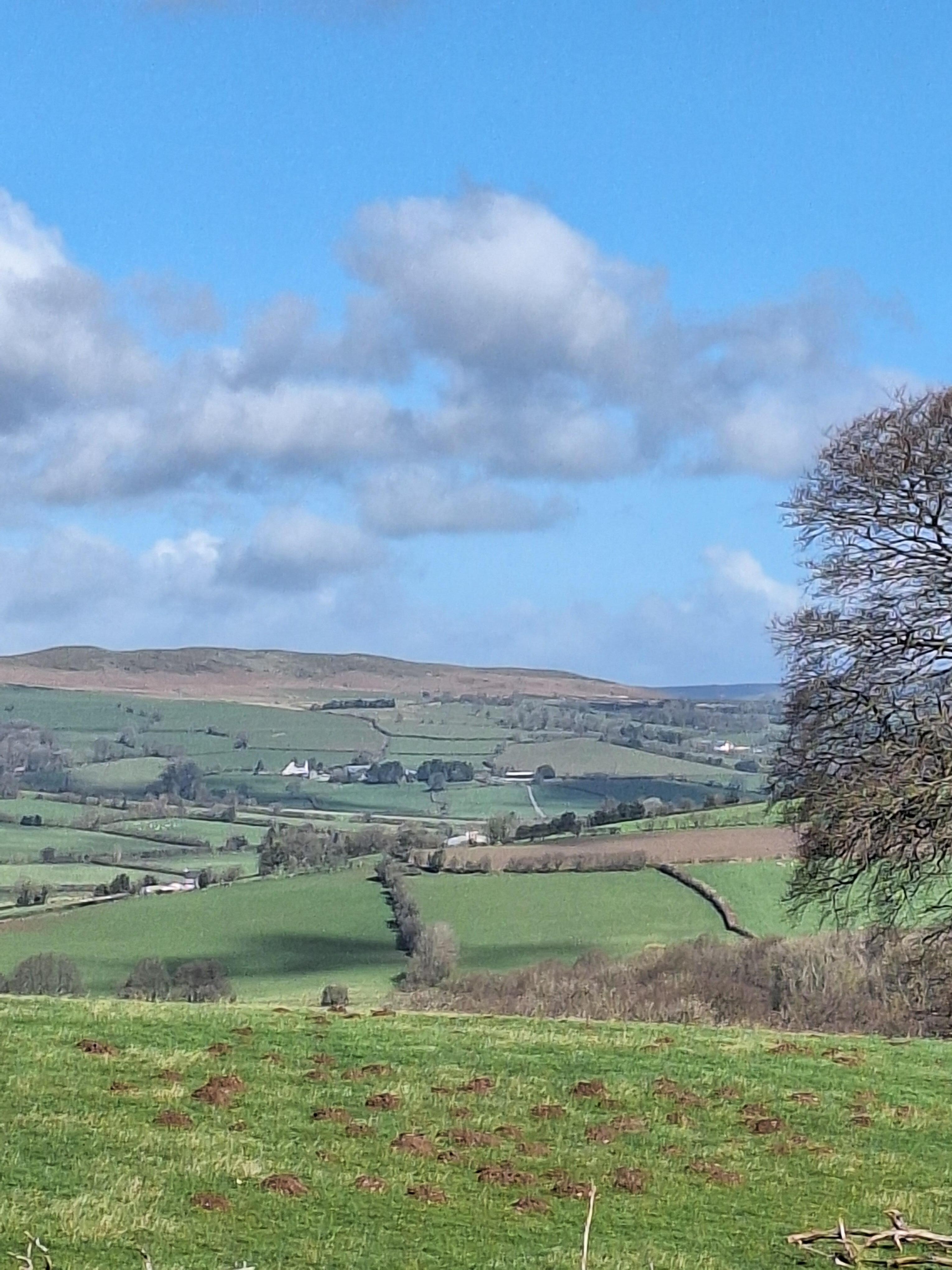 View from the top of the Begwyns