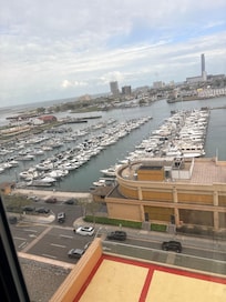 Views from the Marina Suite