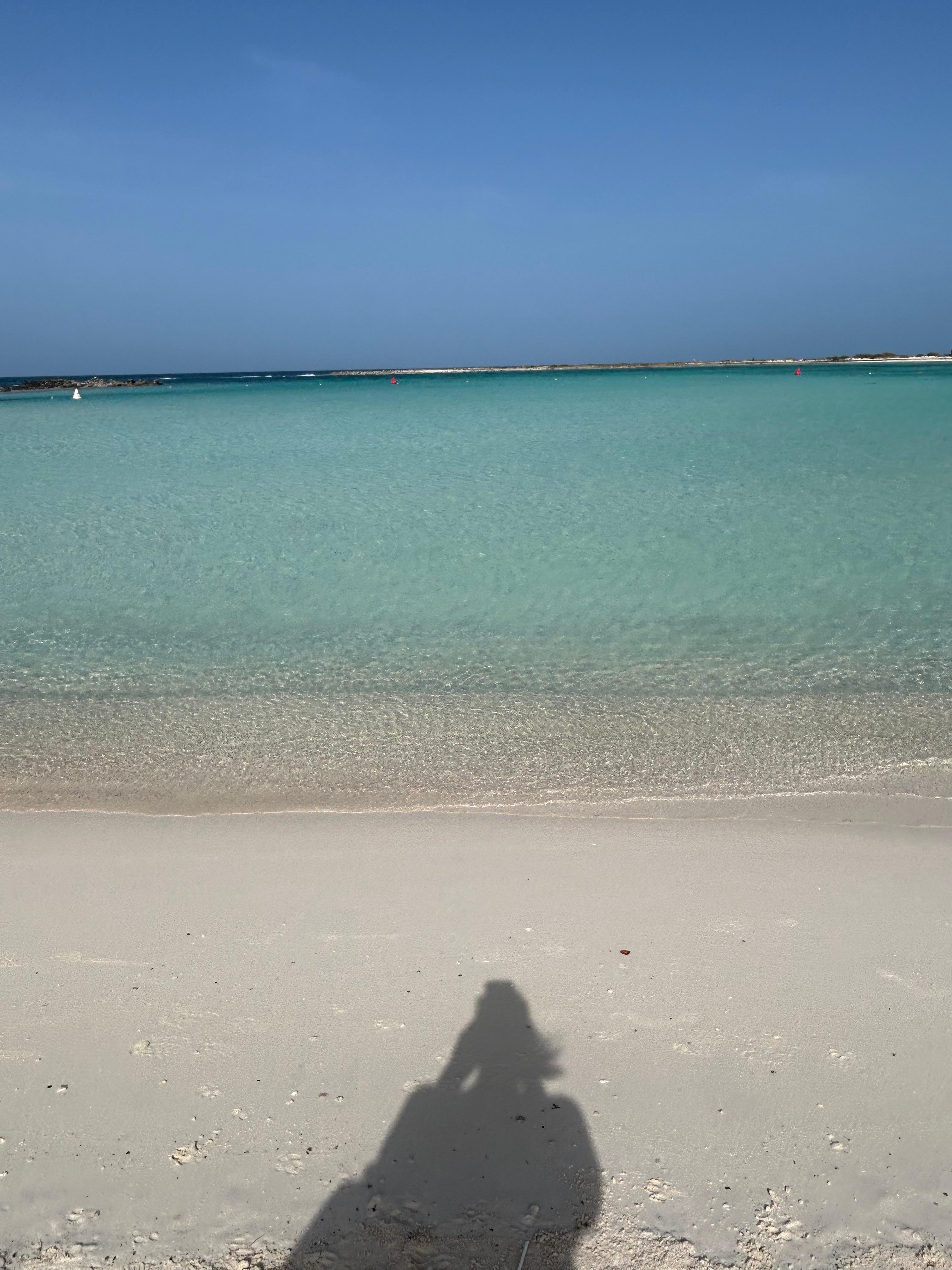 The beach