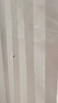 disgusting shower curtain