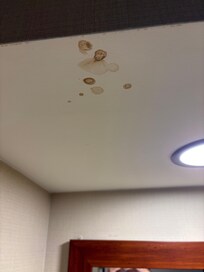 Water damage ceiling