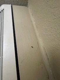 Dead roaches on the ac unit