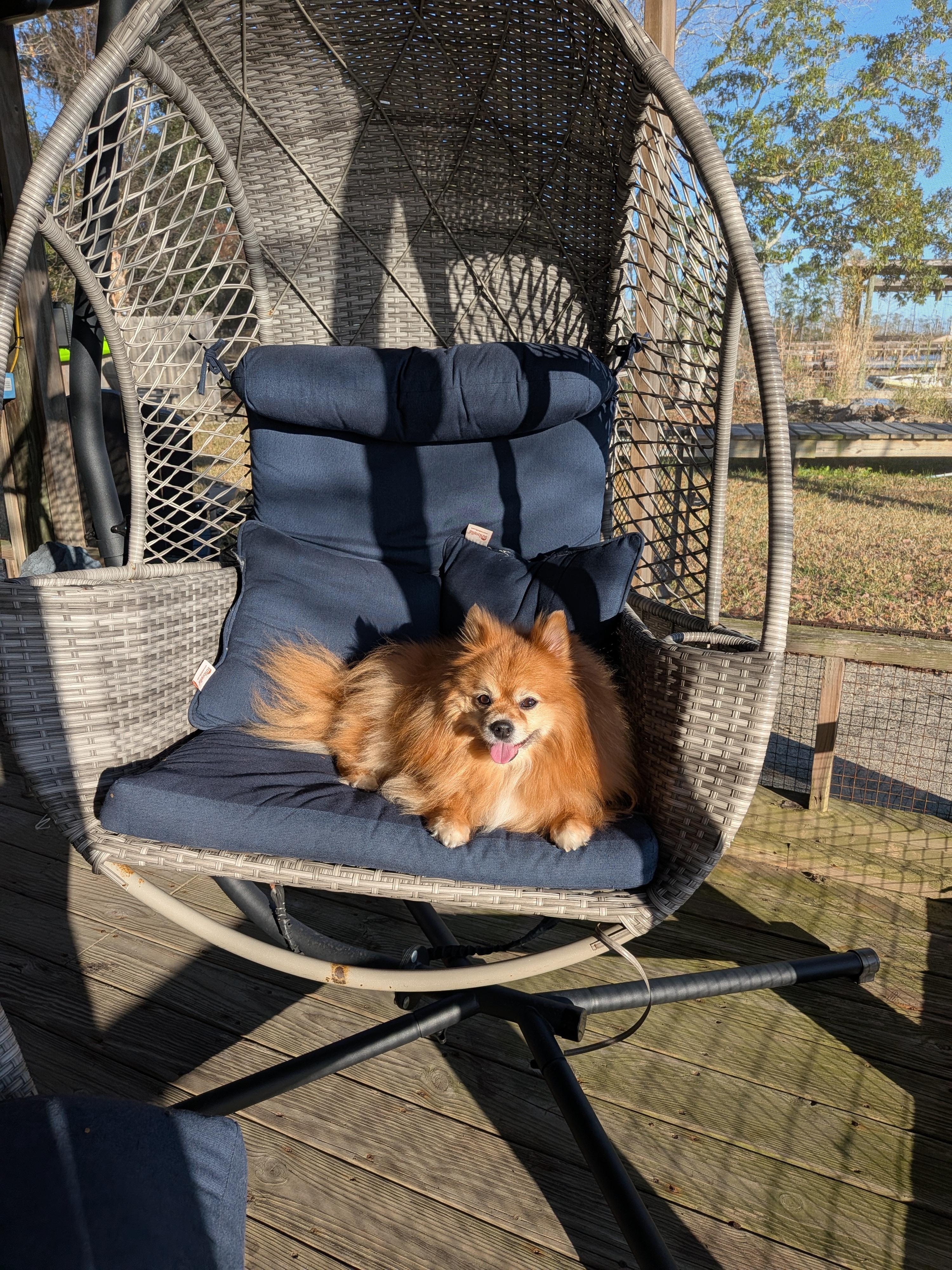 Callie loved chilling outside at the water in the boatslip house.