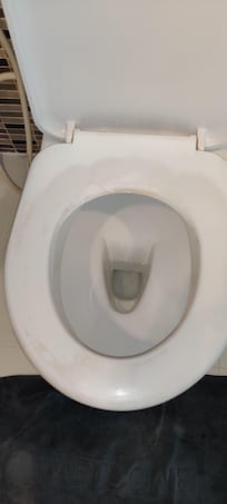 Lunette wc de couleur bizarre