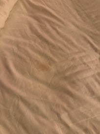 Blood on the bed