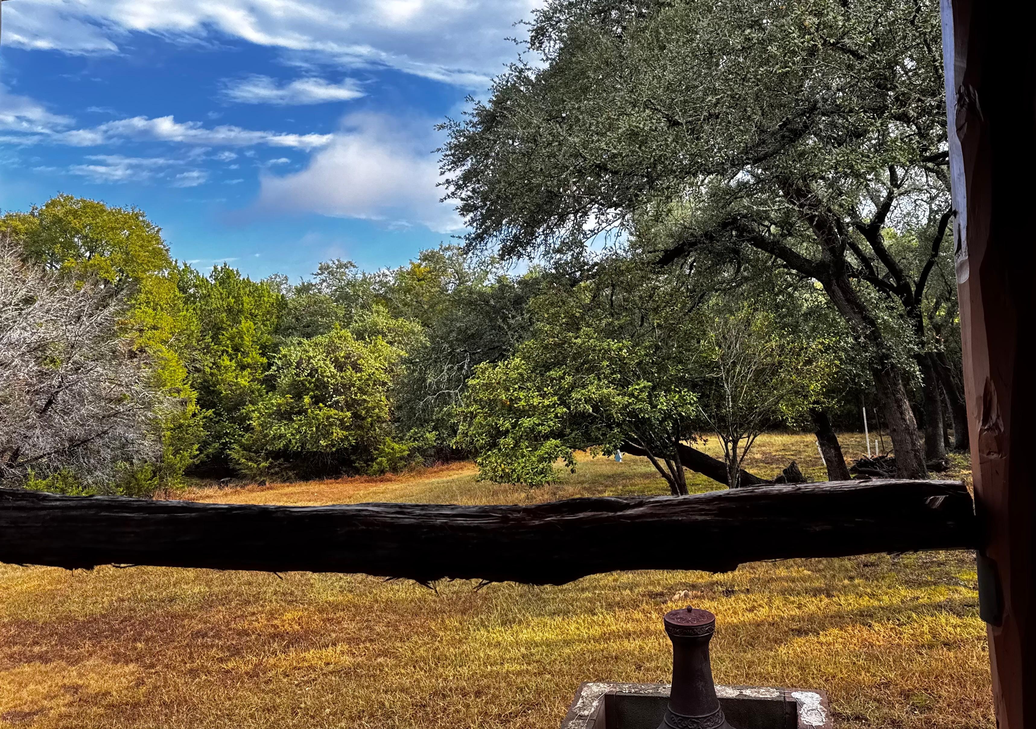 View from backyard porch. Great place for coffee and reading. 