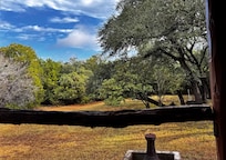 View from backyard porch. Great place for coffee and reading.