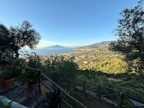 Daytime view from the property