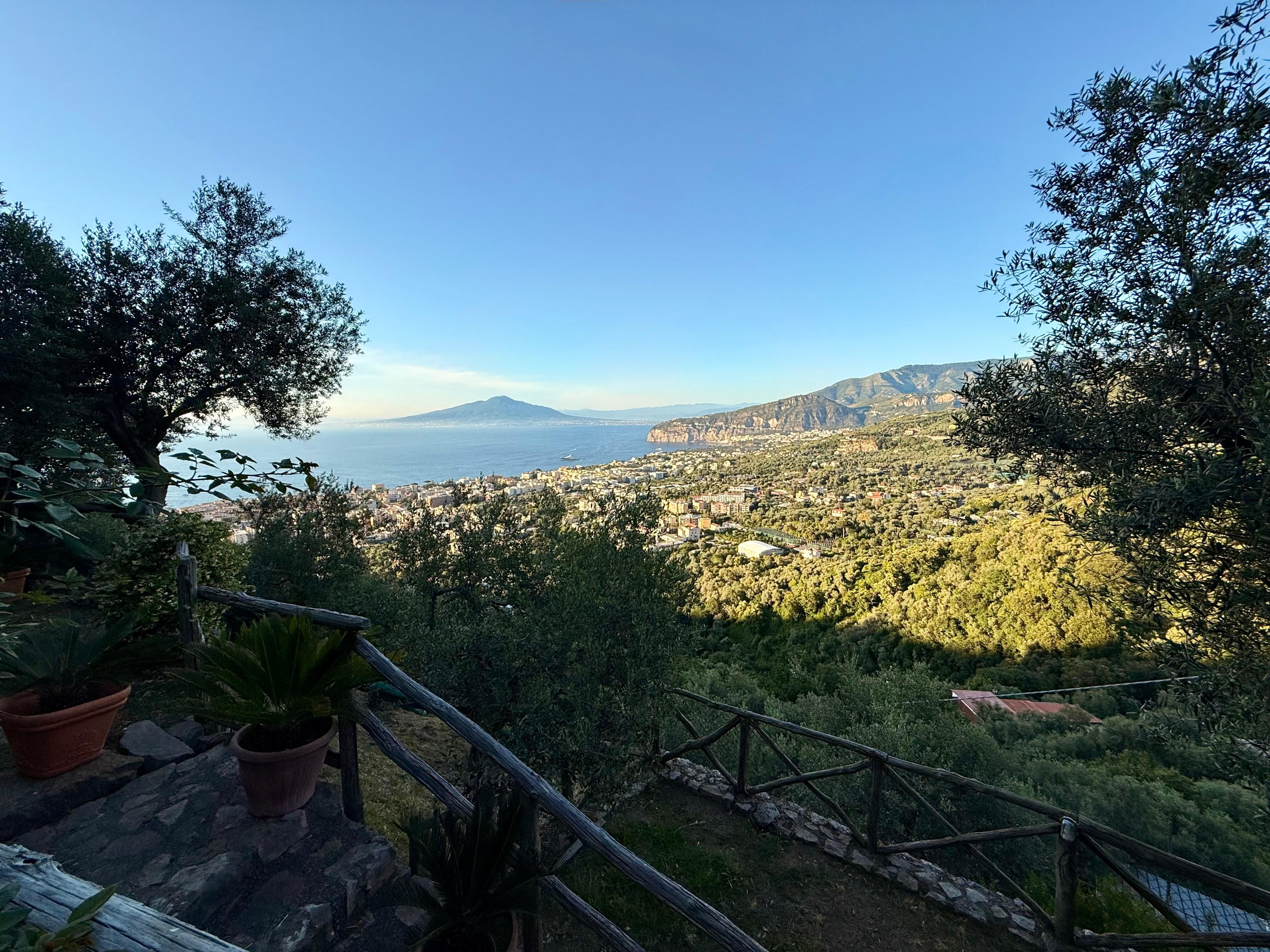 Daytime view from the property