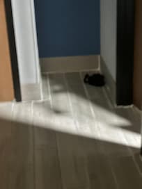 Left by last person rented the room before me and house keepers was nasty 🤮