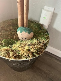 Cute little pet rock