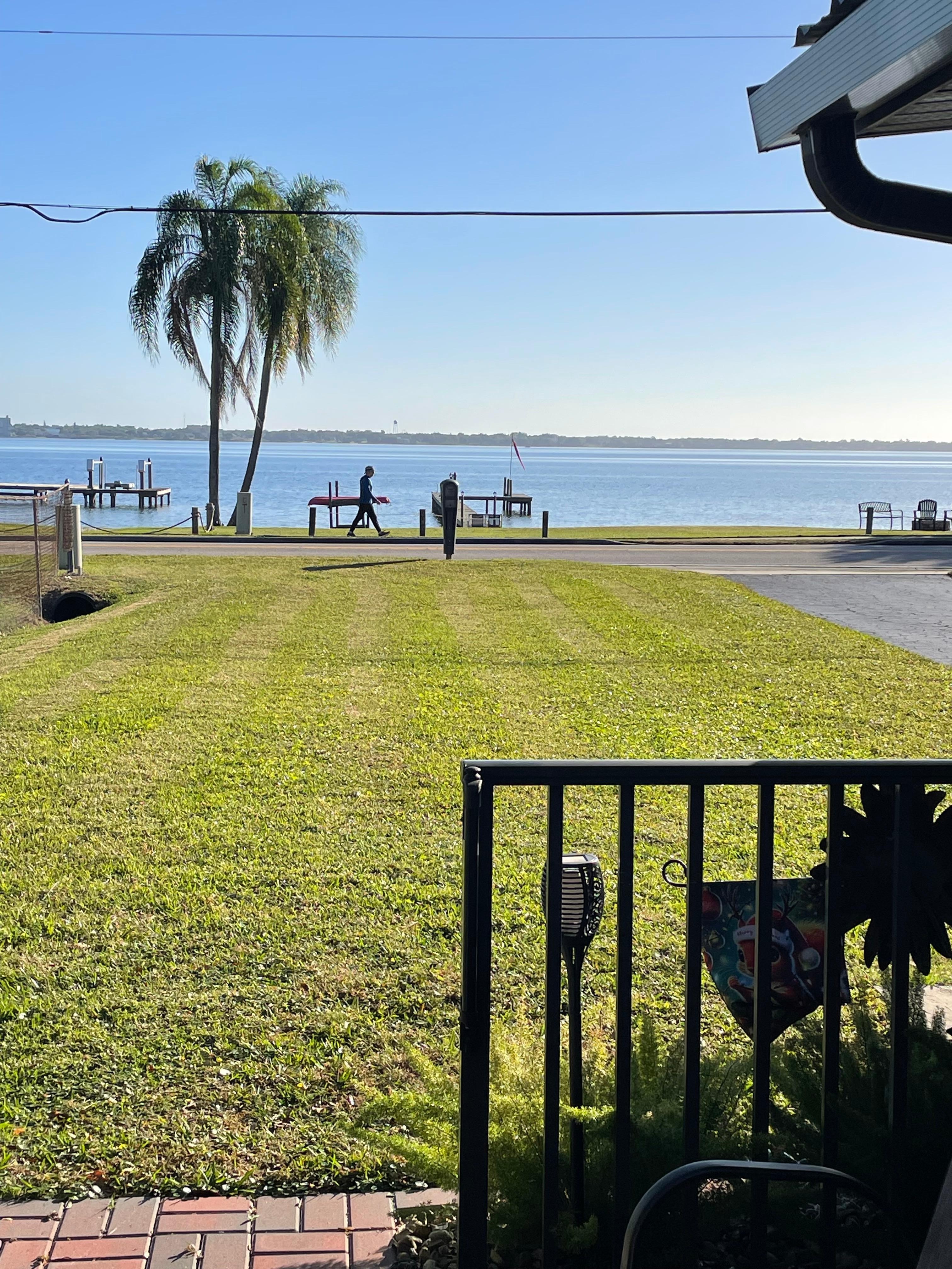 View from covered side patio