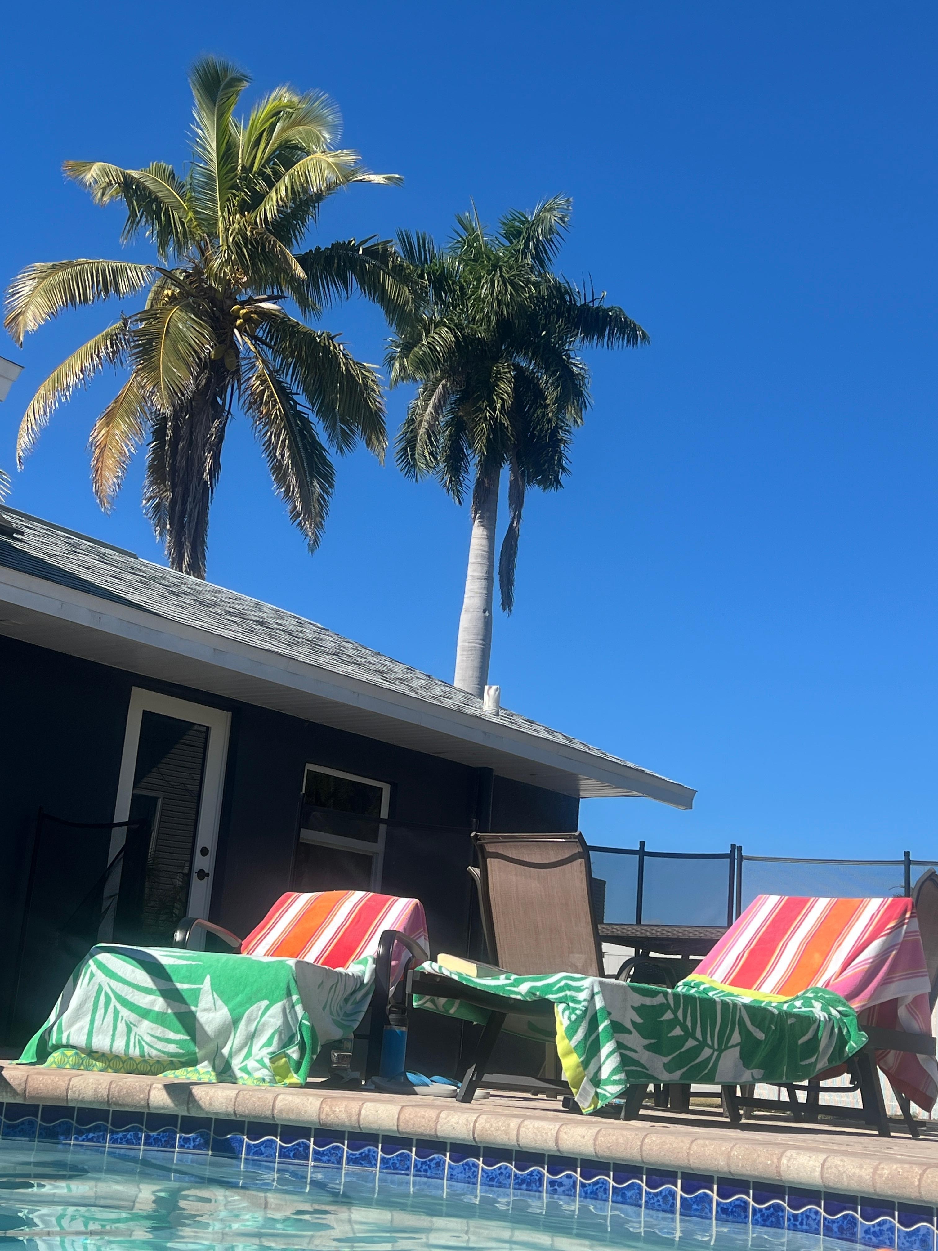 Lounging from the pool! 