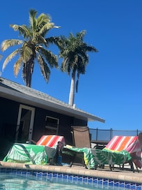 Lounging from the pool!