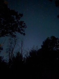 The stars at night