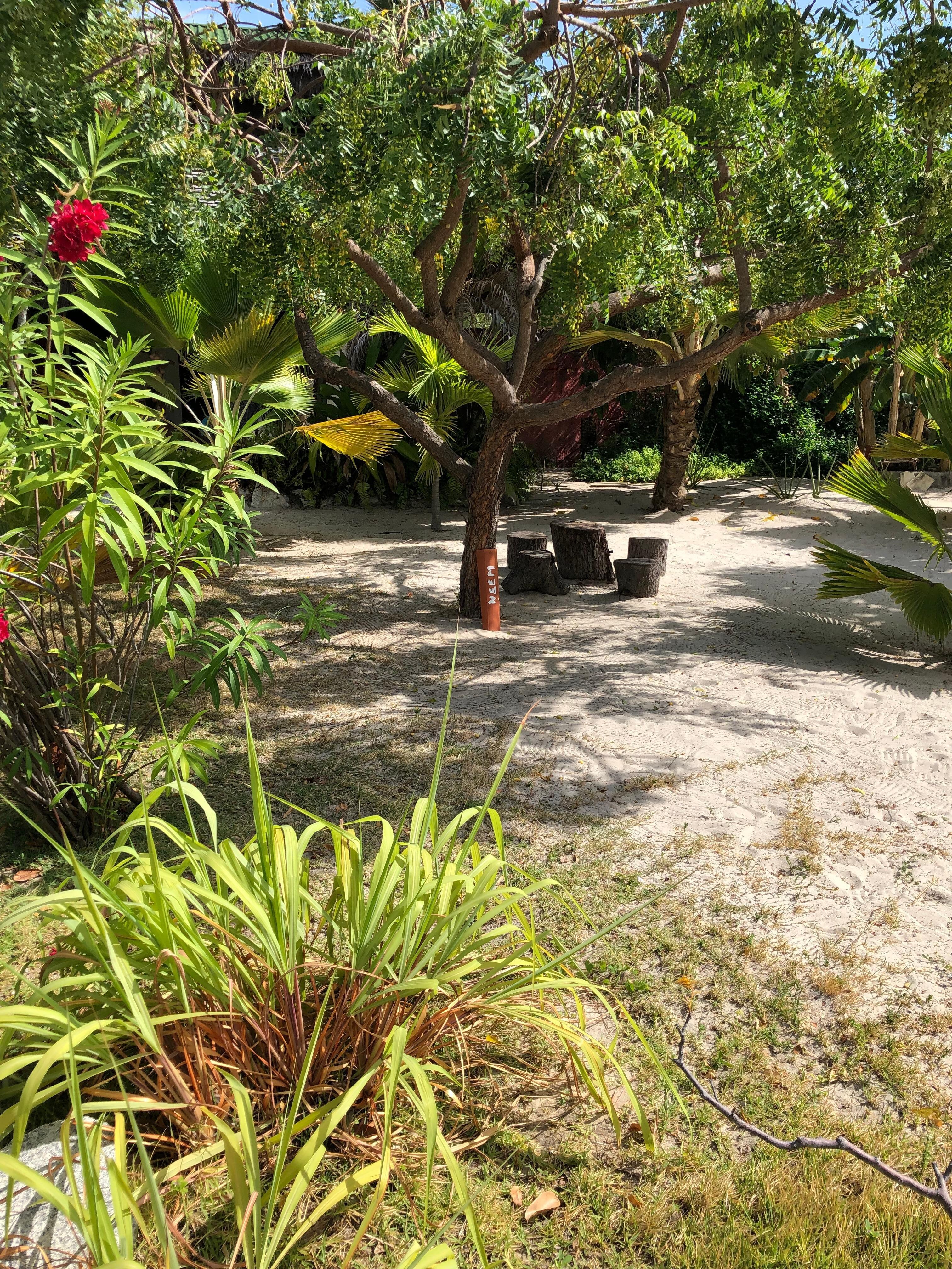 Jardim