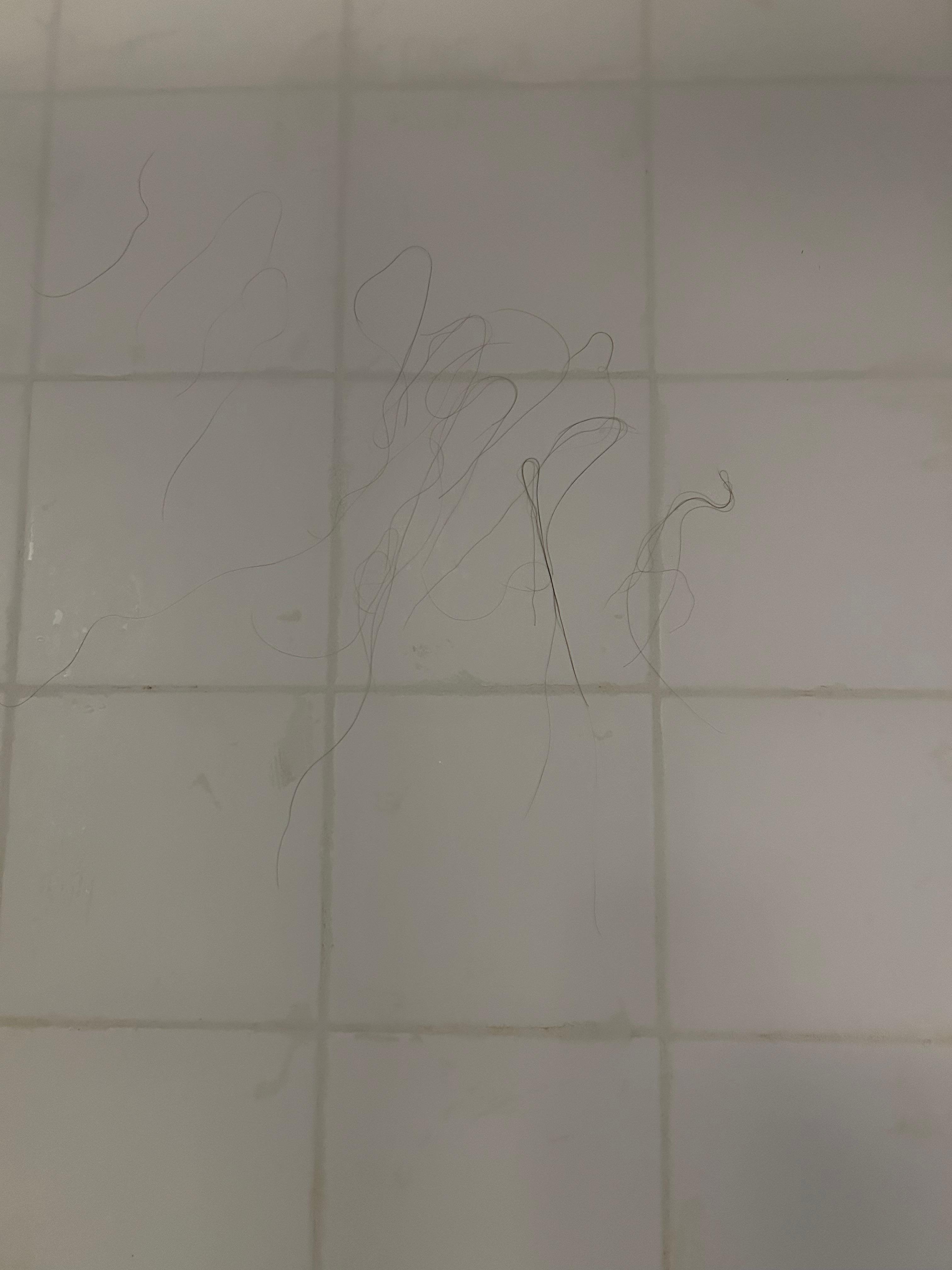 Hair in bathroom
