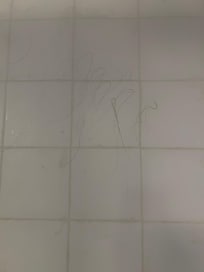 Hair in bathroom