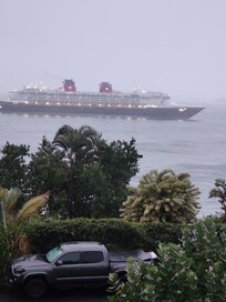 Watching the cruise ships