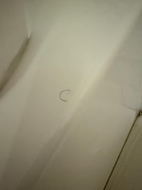 More hair left in restrooms