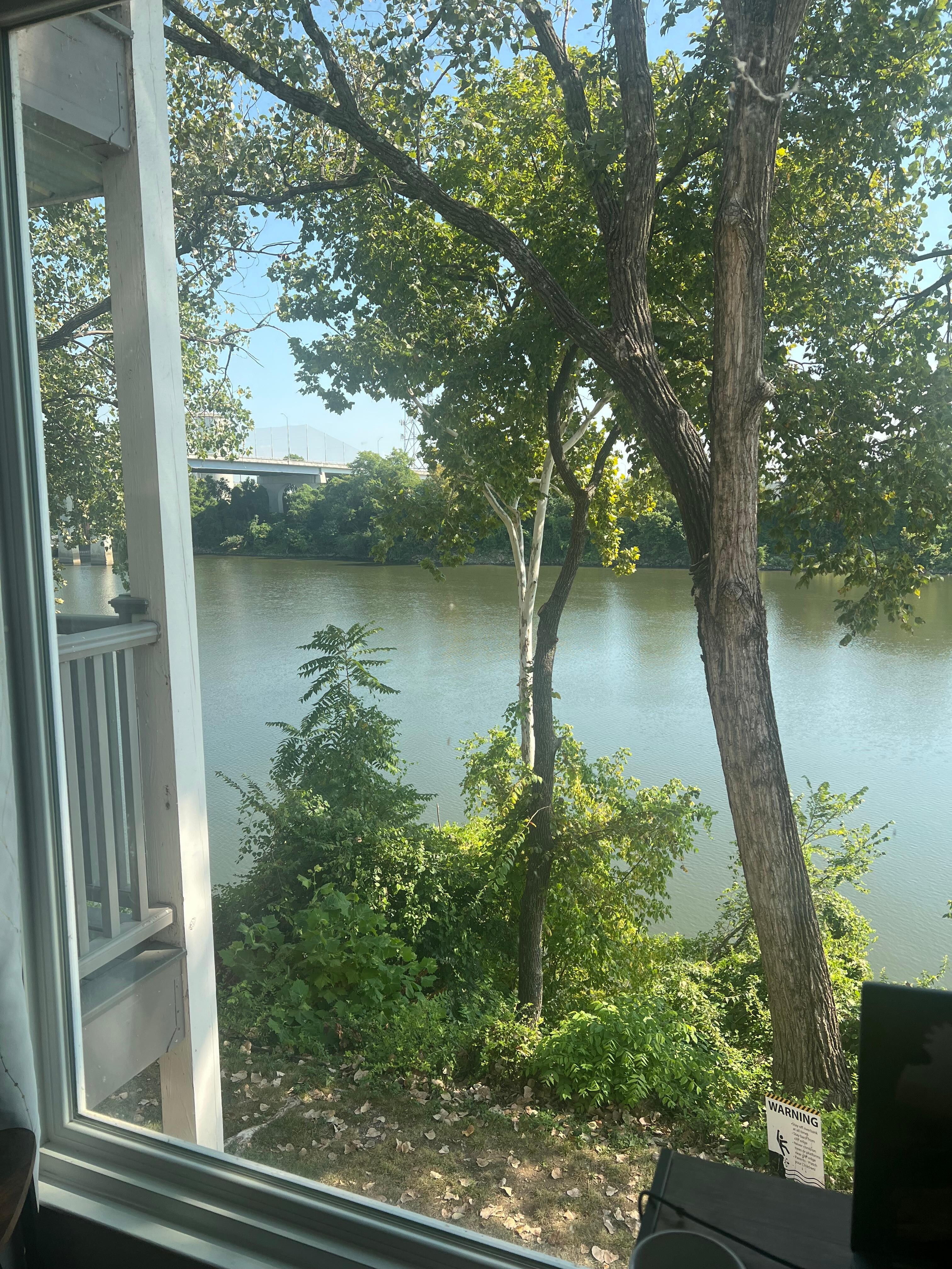 View from dining room 