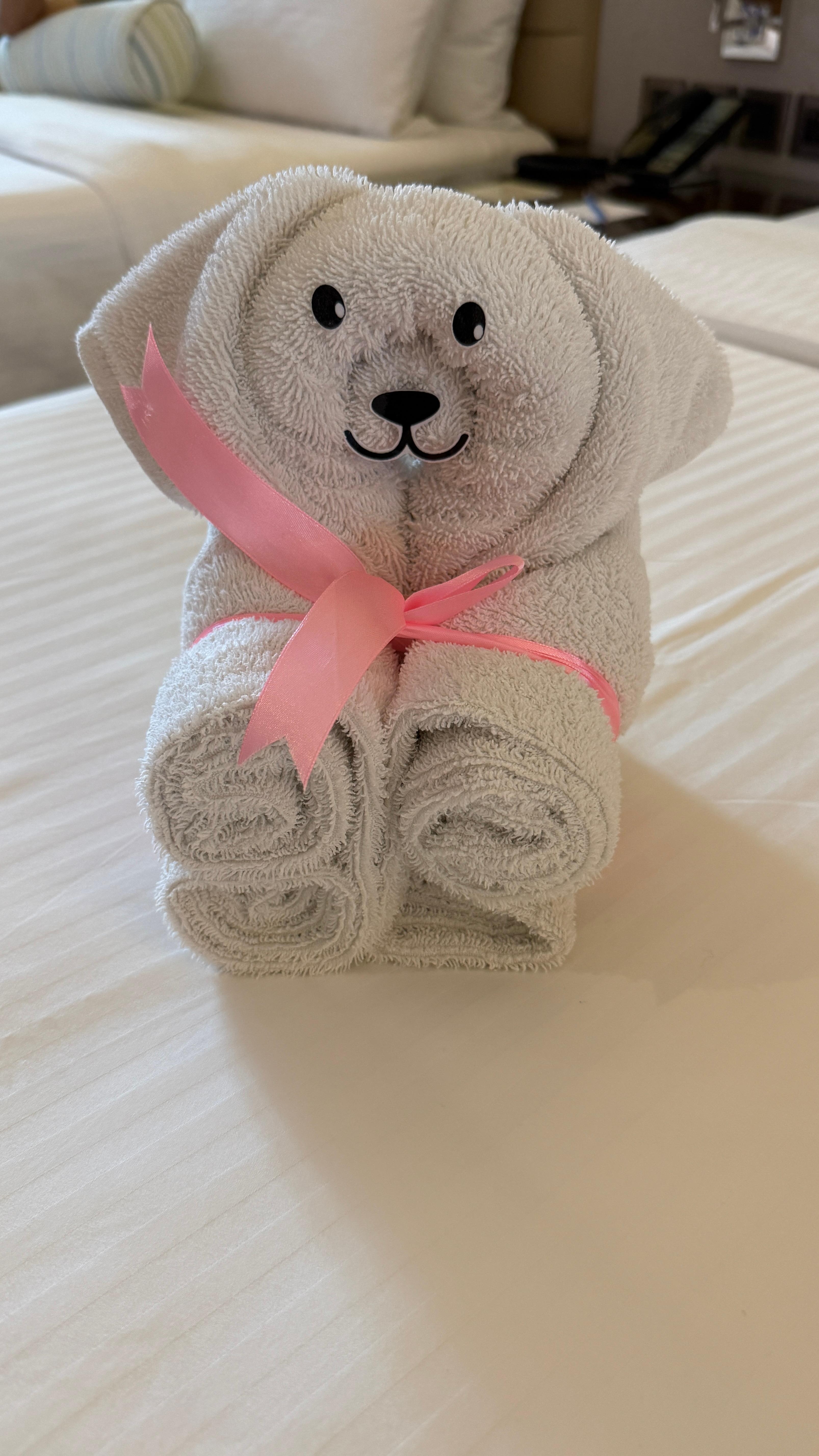 Welcome bear towel