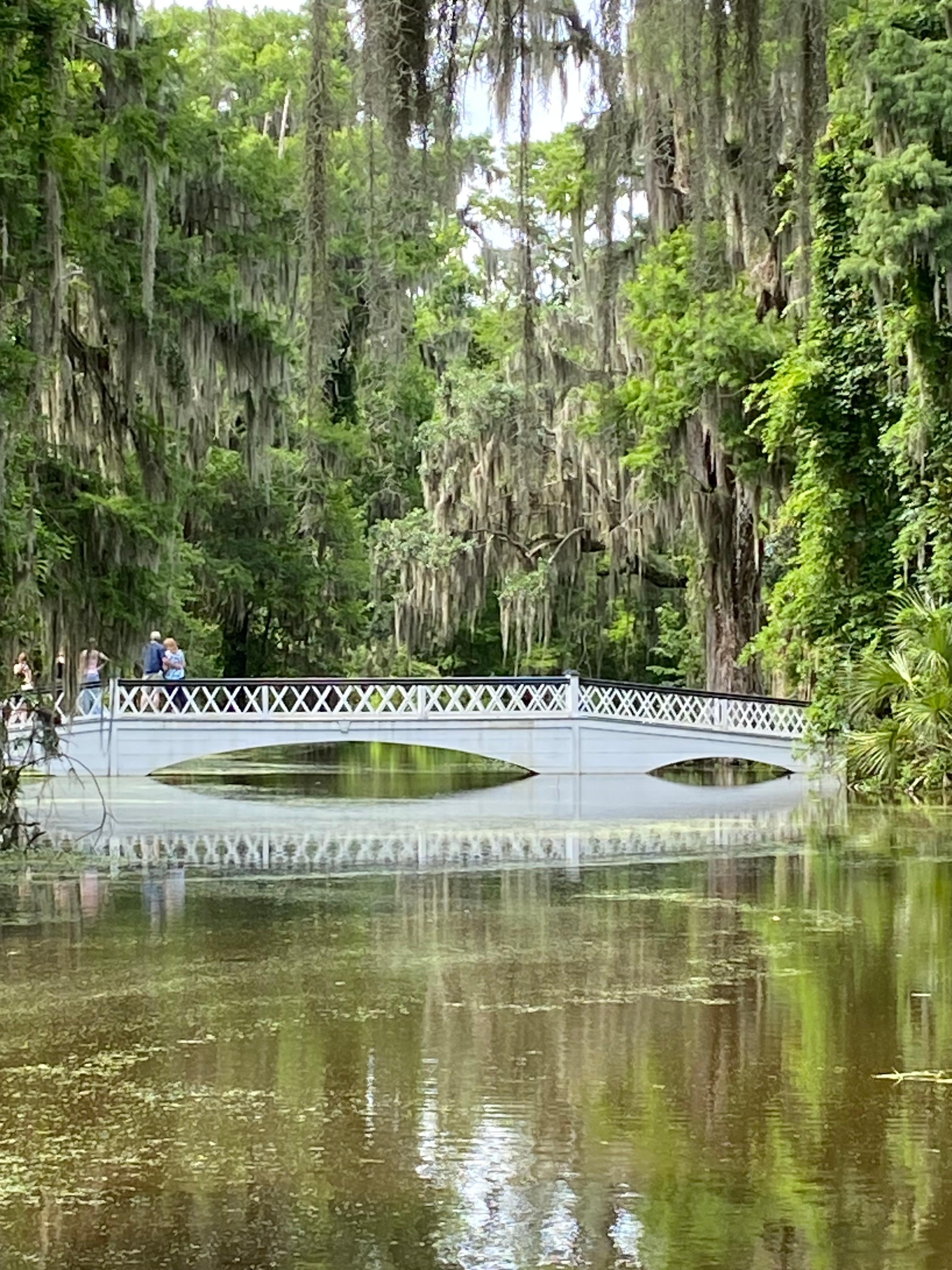 Beautiful bridge at Magnolia Plantation