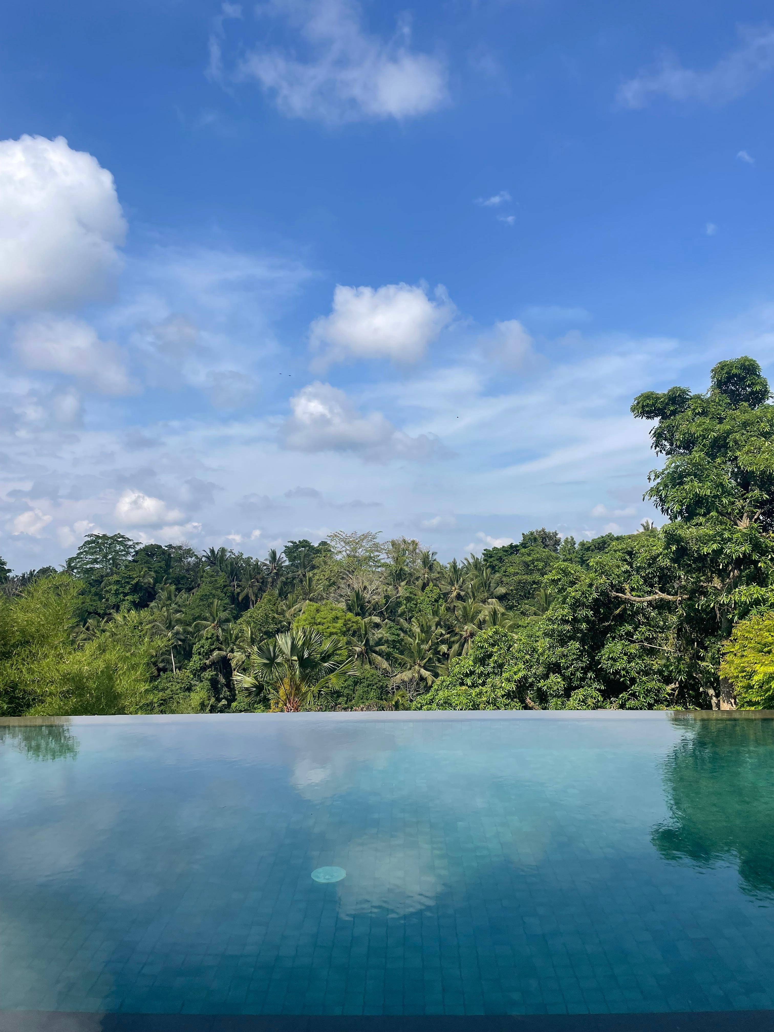 Beautiful view from the pool 