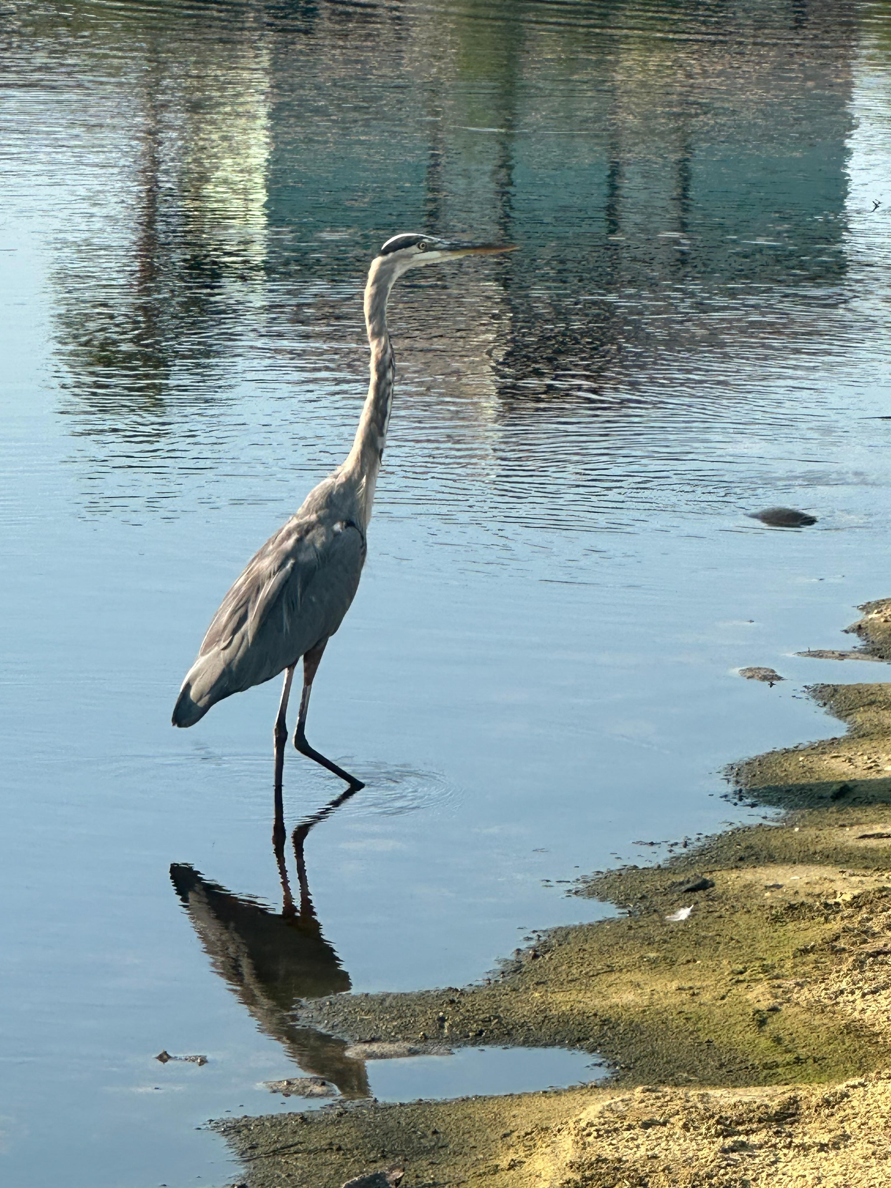 Photo op while using walking trails along property  