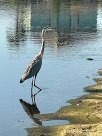Photo op while using walking trails along property