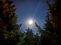 Night Sky it Amazing!