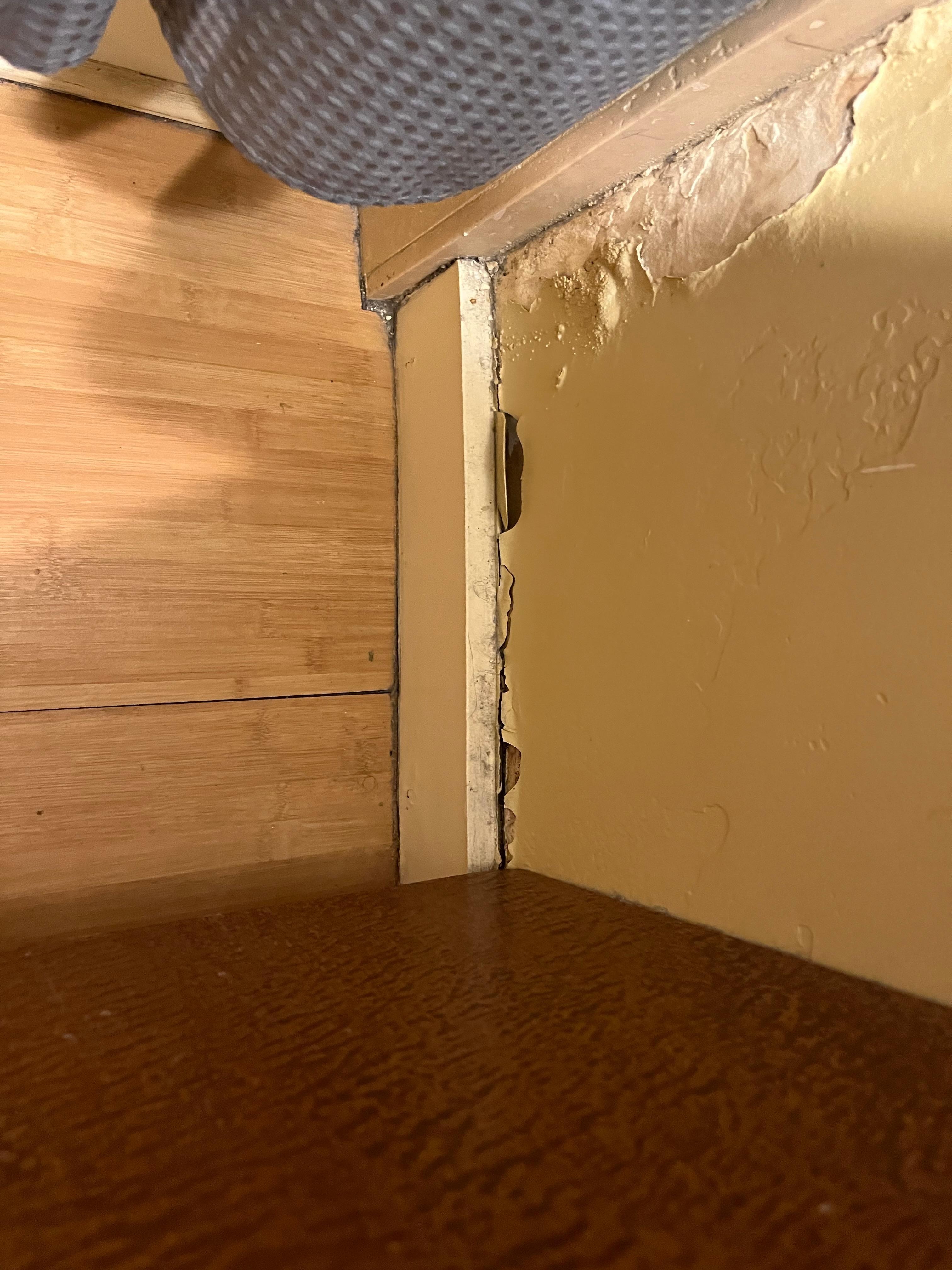 Sheetrock and floorboard in bathroom