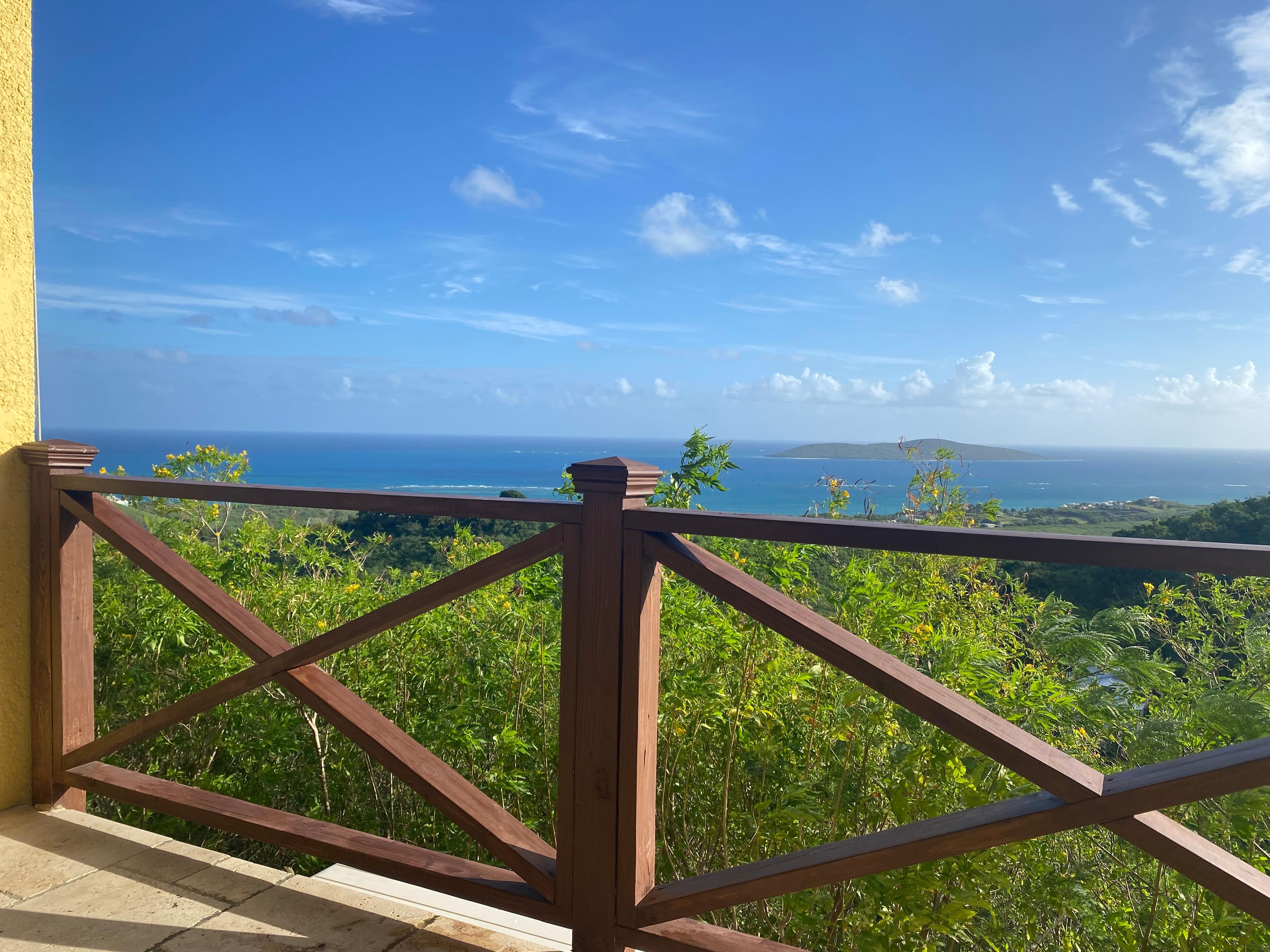 Views from the house