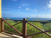 Views from the house