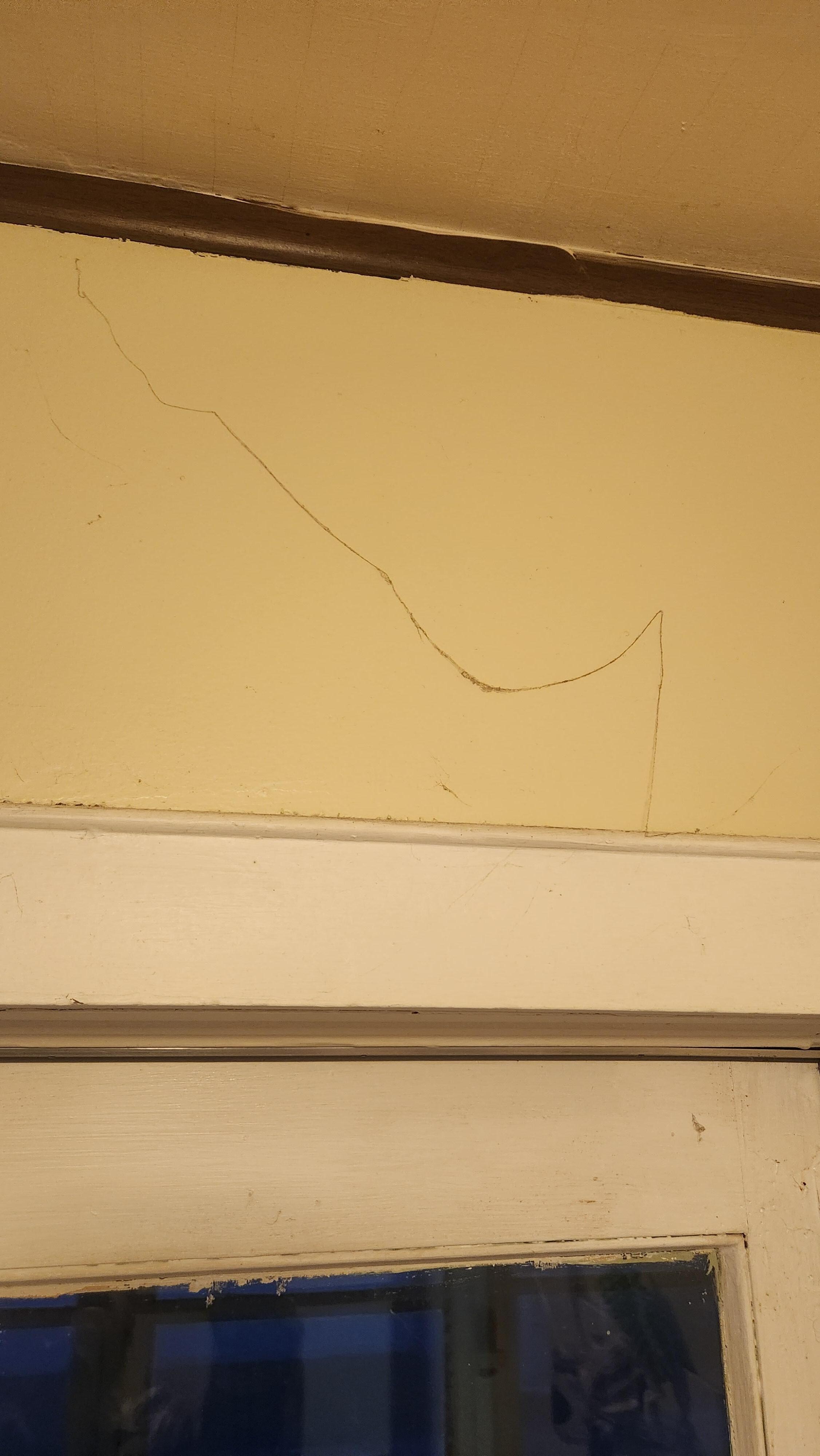 Spider web on wall