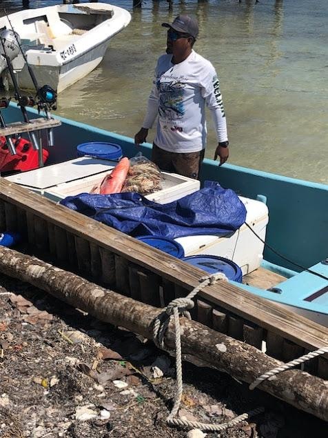 Landy was out for 2 days spearing 40+ lobsters.  We purchased this very large Snapper.
Lots of stories here.