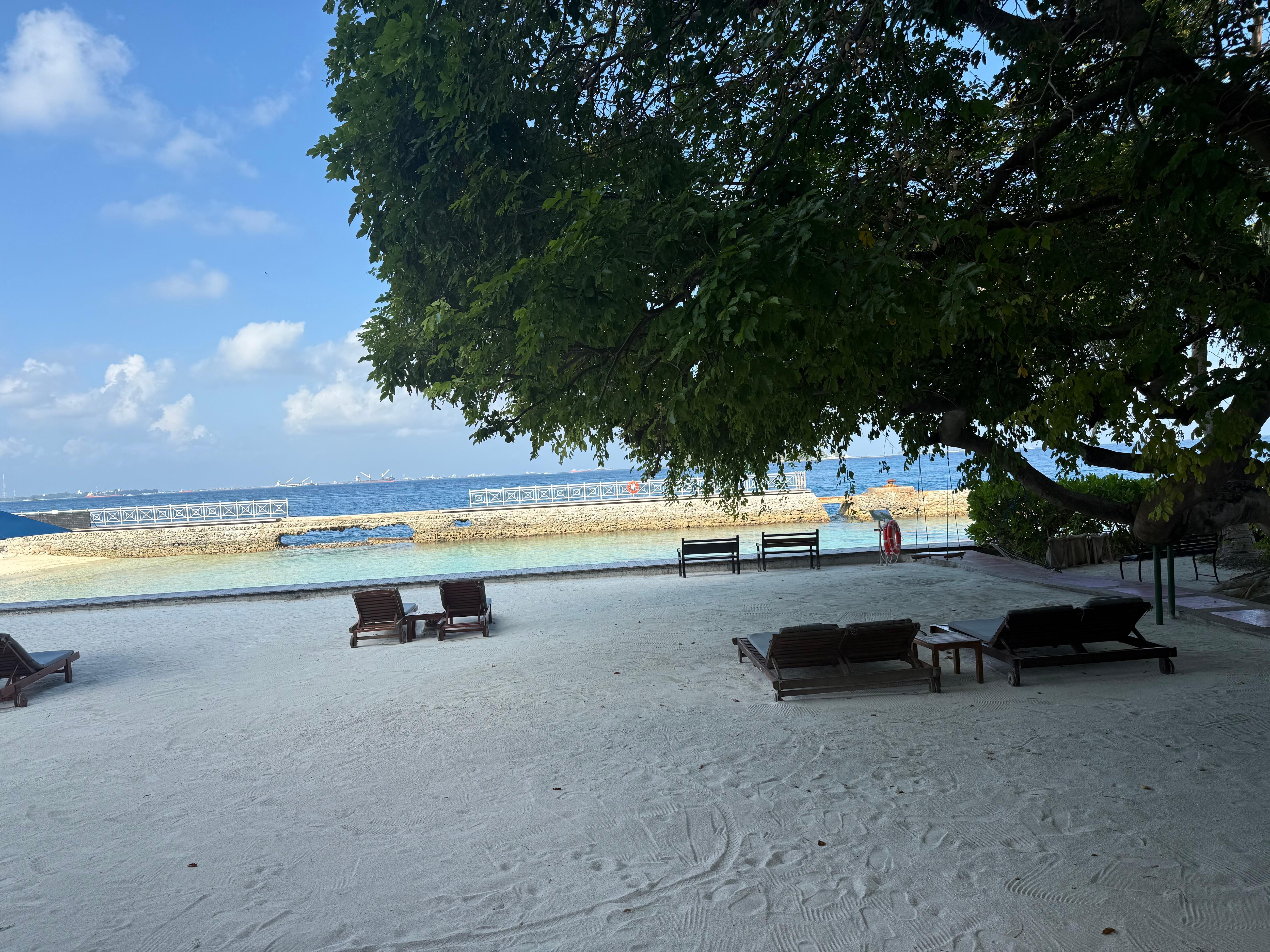 View from my balcony.