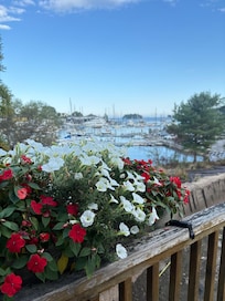 Bay