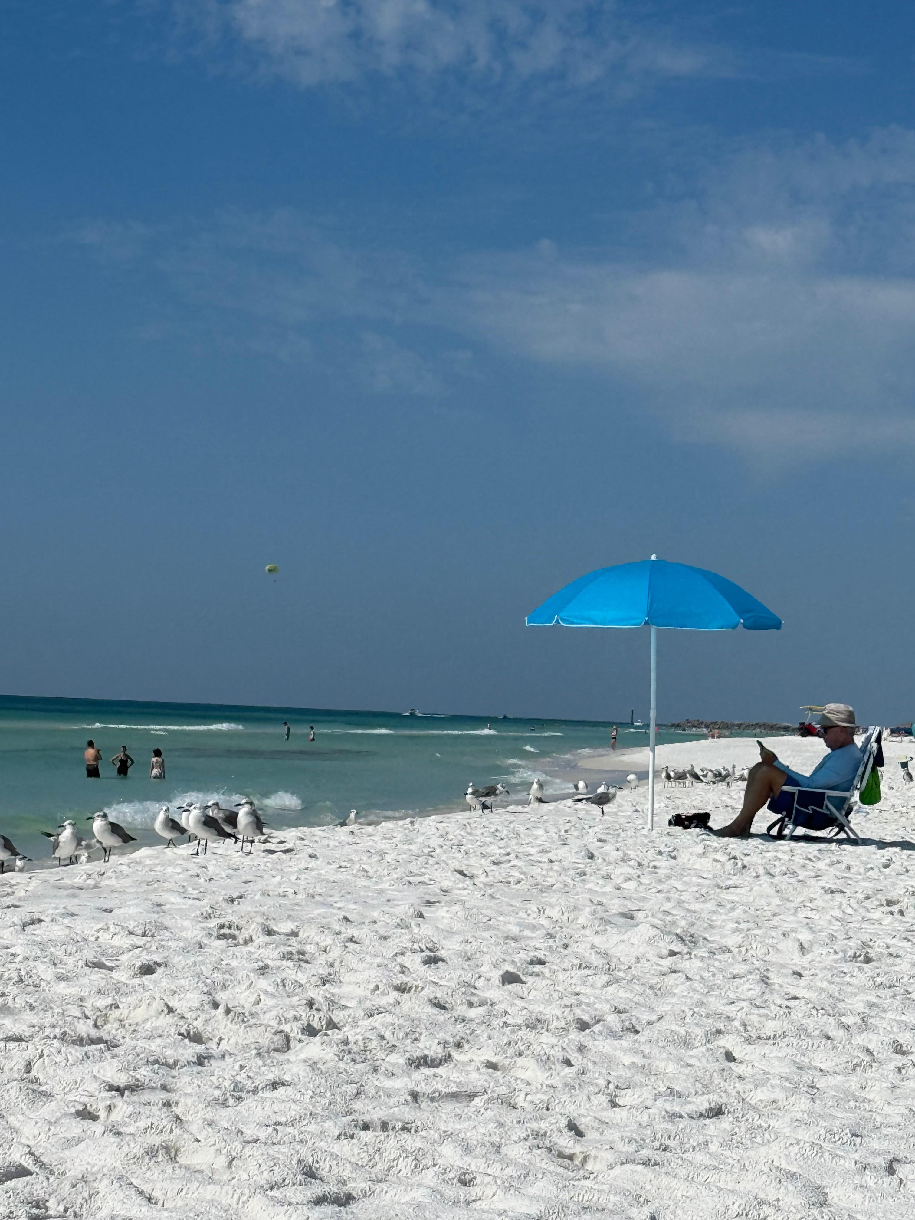 Gorgeous beach just short walk away 