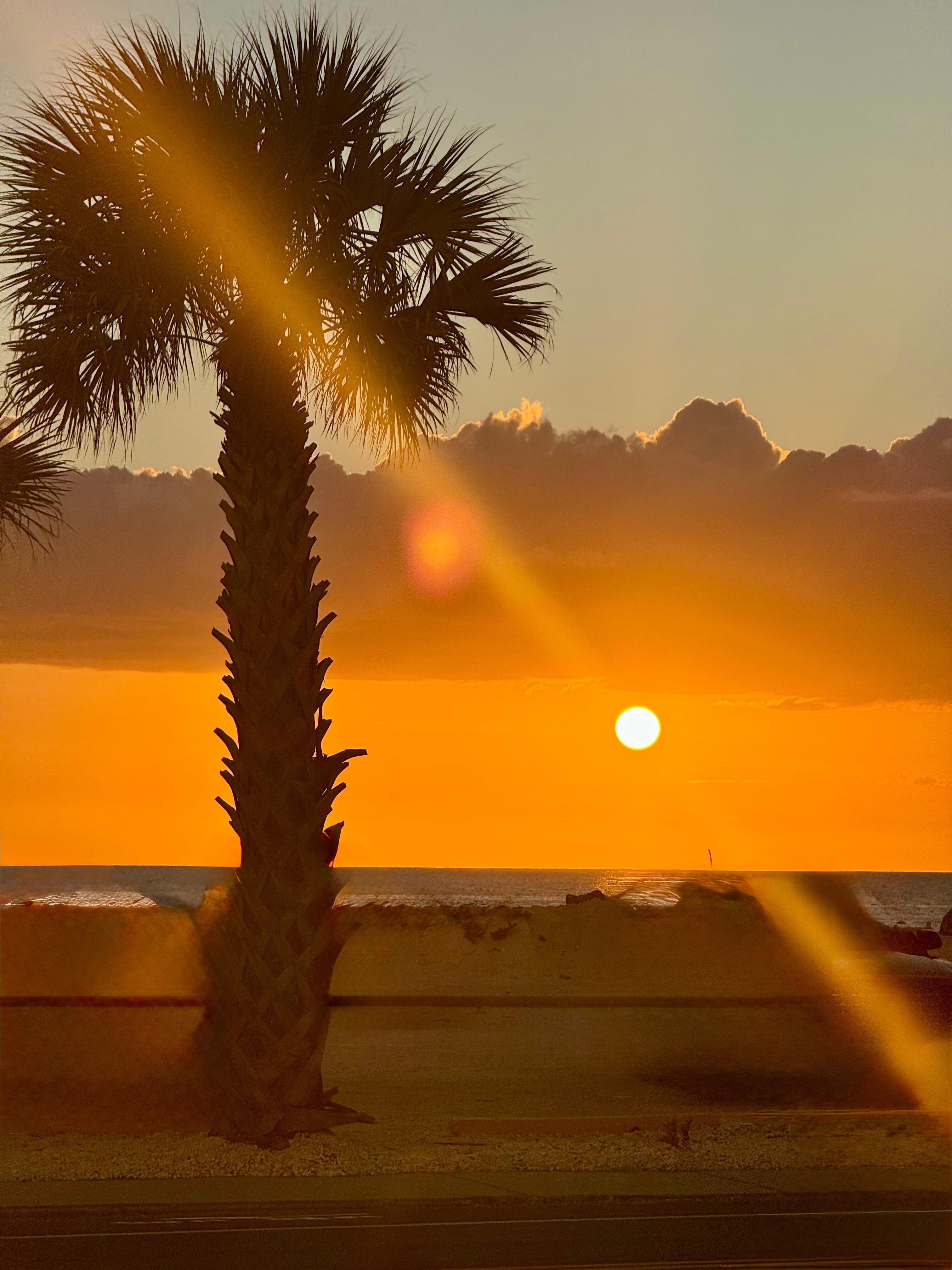 We watched the sunset from the front porch.