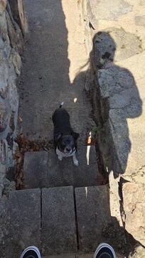 Louie and I in the the ratenda