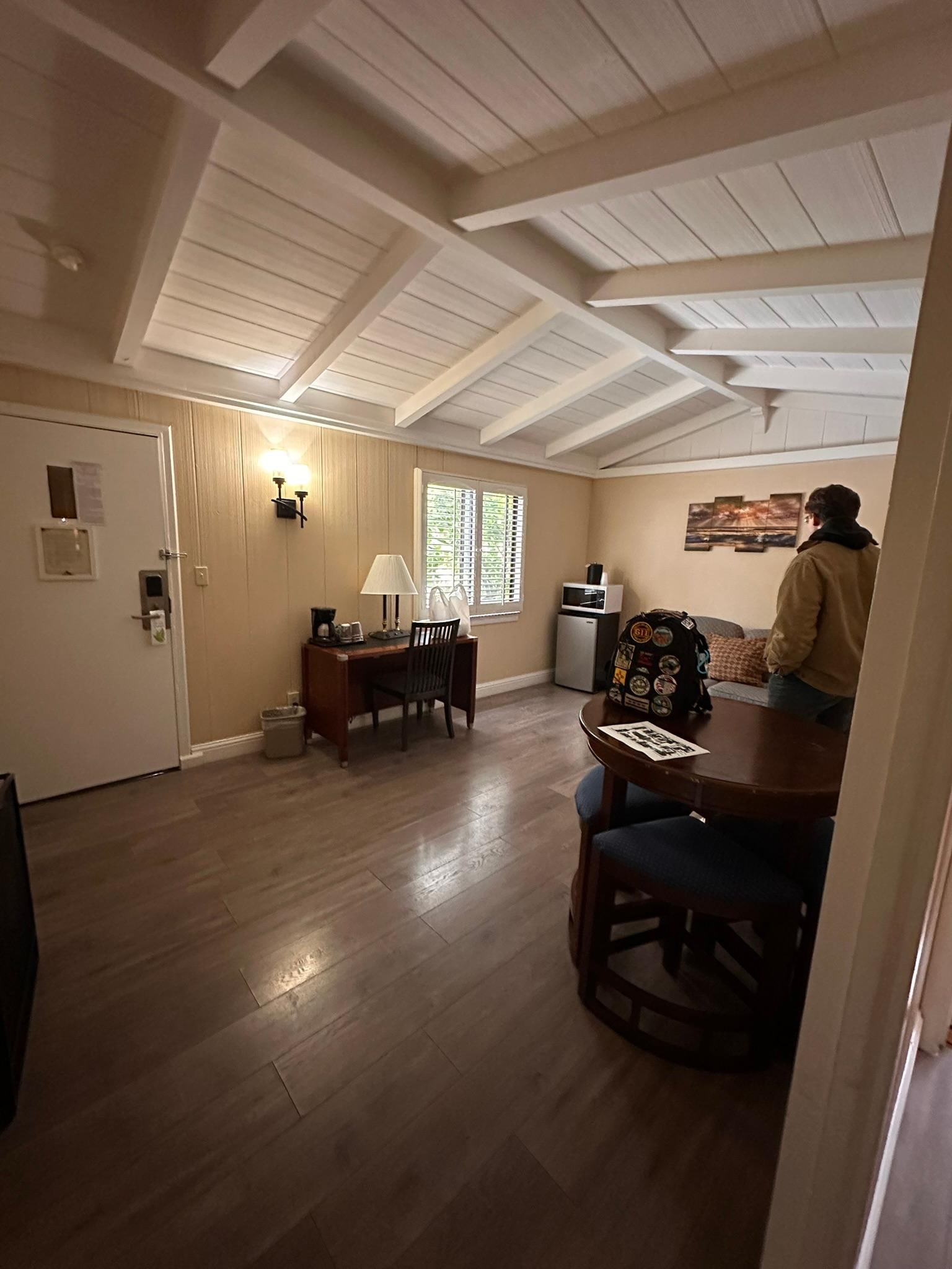 Living room with pull out couch