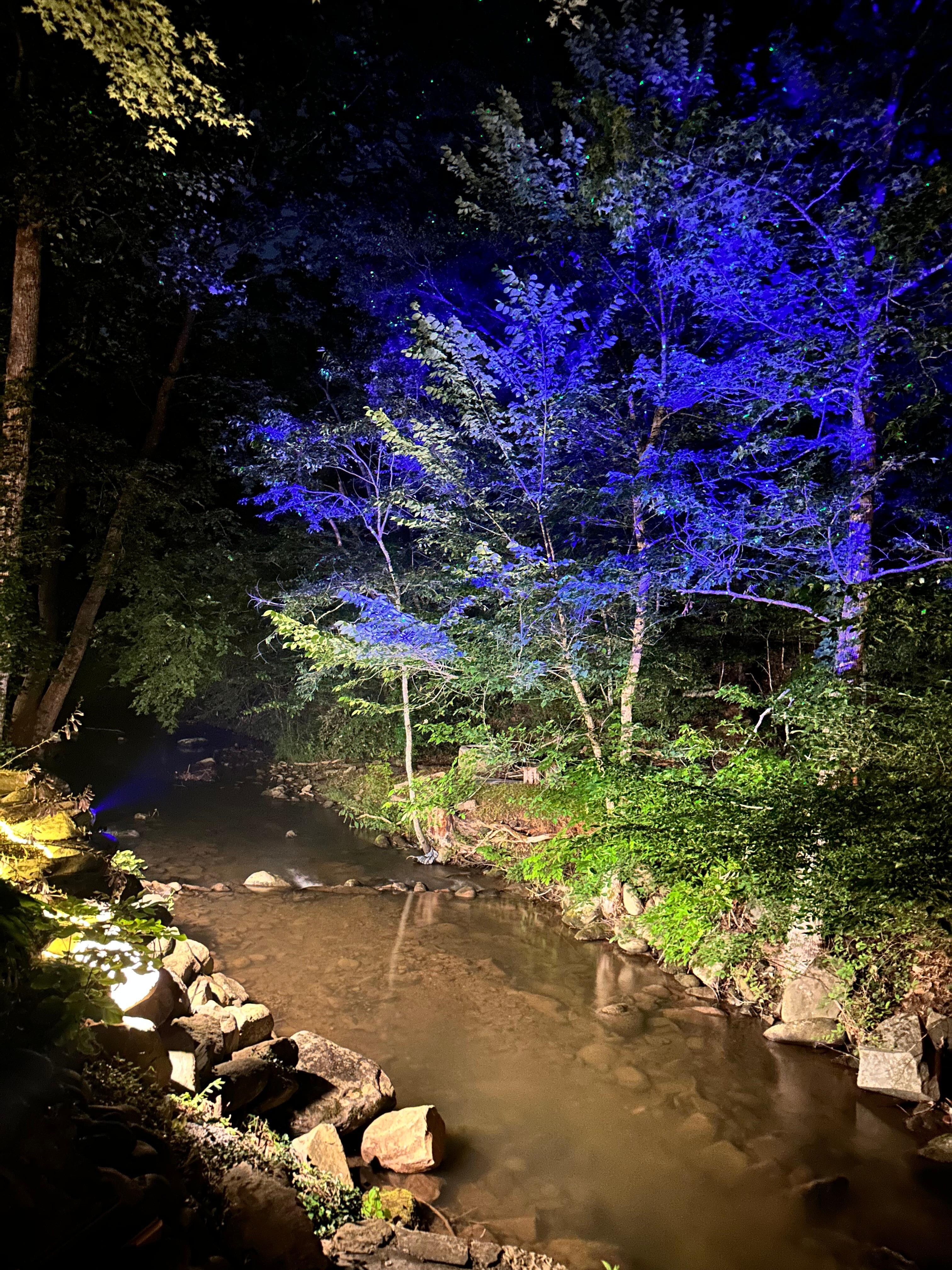 At night the spot across the creek had lights in the trees and it added to how nice the place was. 
